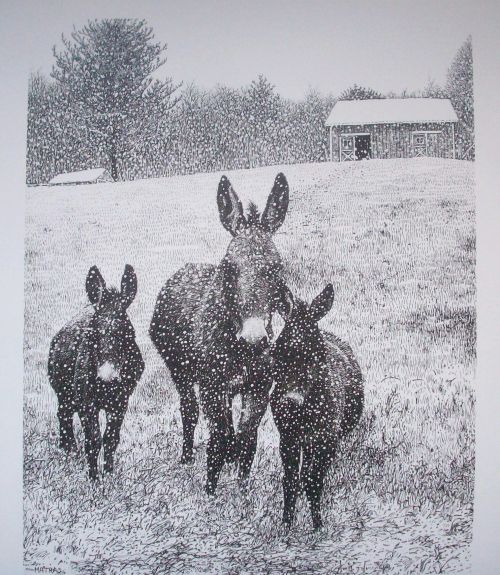 Donkey Pen & Ink Print